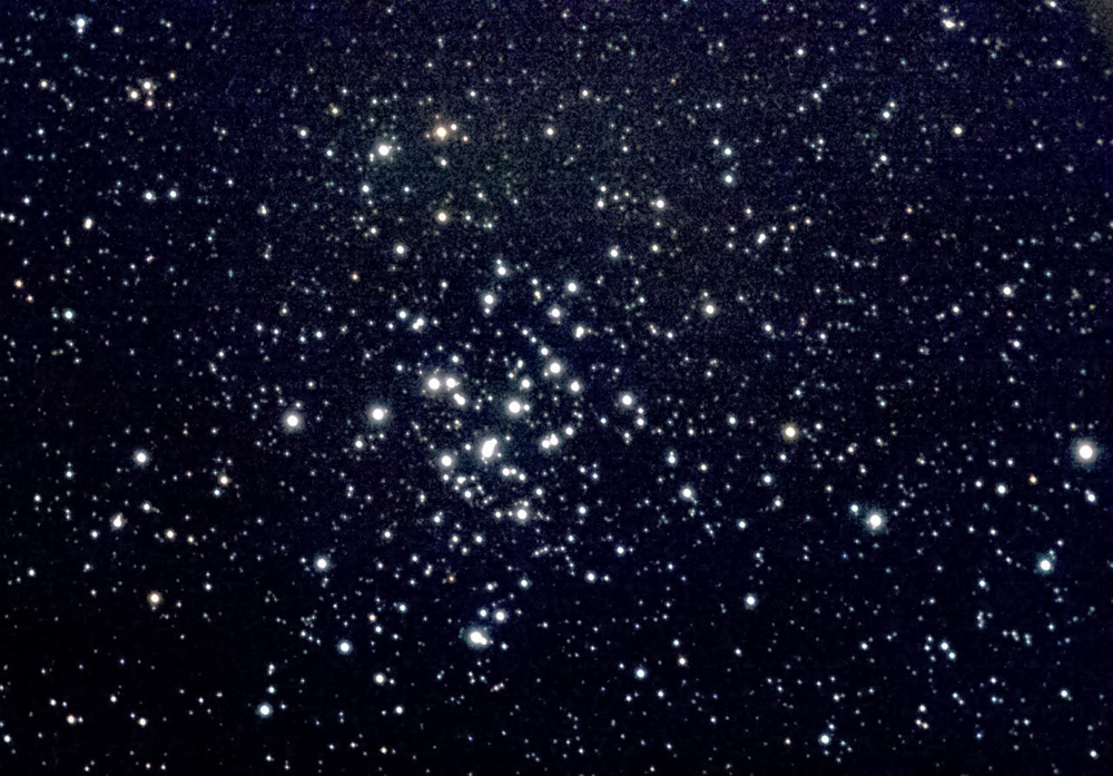 M 36 ist ein offener Sternhaufen im Sternbild "Fuhrmann" in rund 4000 Lichtjahren Entfernung (Friedrich Schrader)